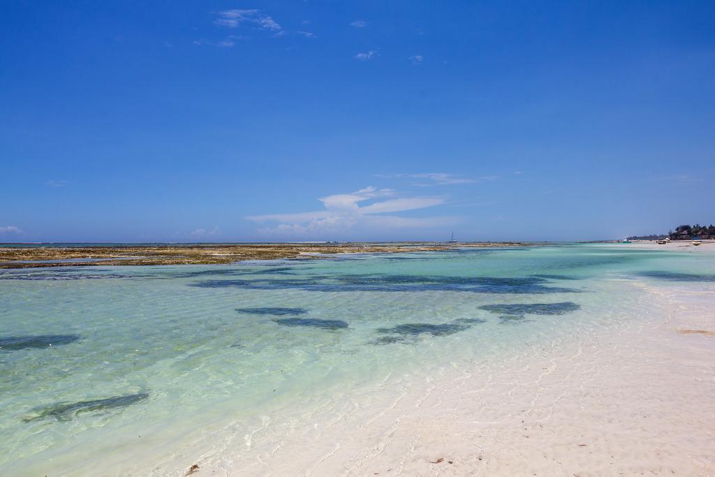 Ocean Village Club (Adults Only) Диани-Бич Экстерьер фото